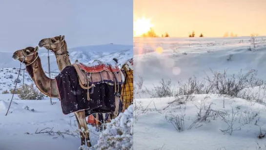 Extreme weather patterns in desert regions